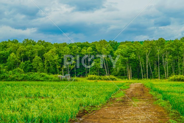 写真のタイトルが入ります