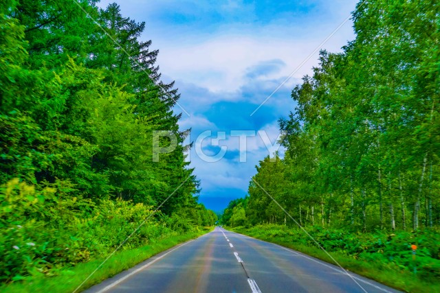 北海道の長い道と自然