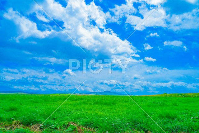 富良野の平原と曇り空