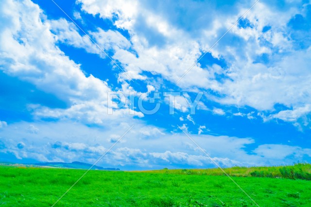 富良野の平原と曇り空