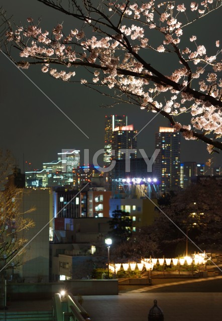 写真のタイトルが入ります