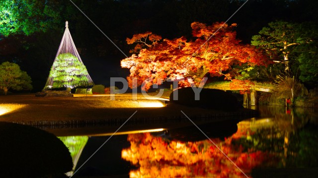 六義園の紅葉