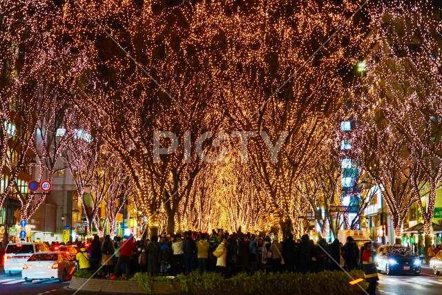 写真のタイトルが入ります