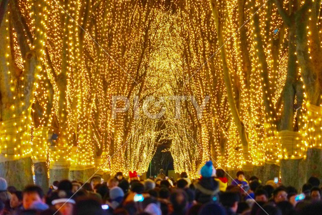 写真のタイトルが入ります