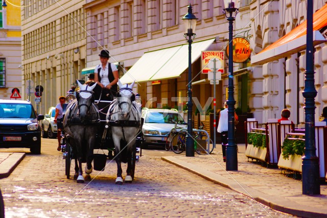 オーストリア・ウィーンの馬車