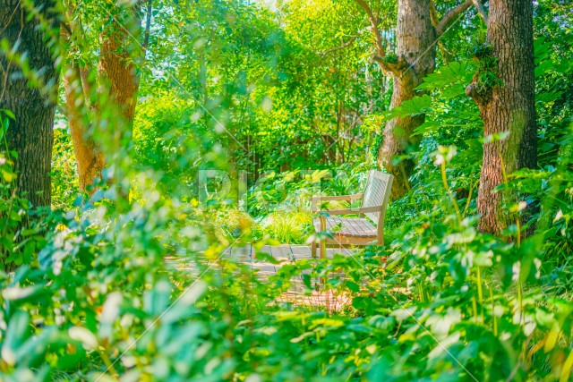 森の中のベンチ