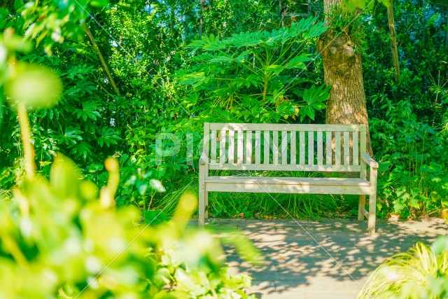 森の中のベンチ
