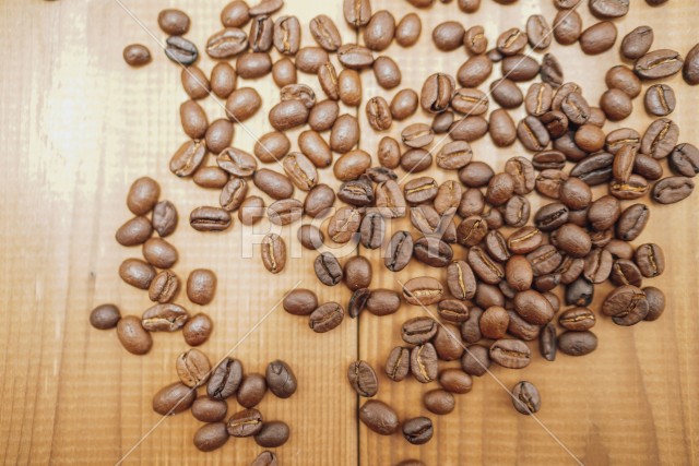 コーヒー豆のイメージ
