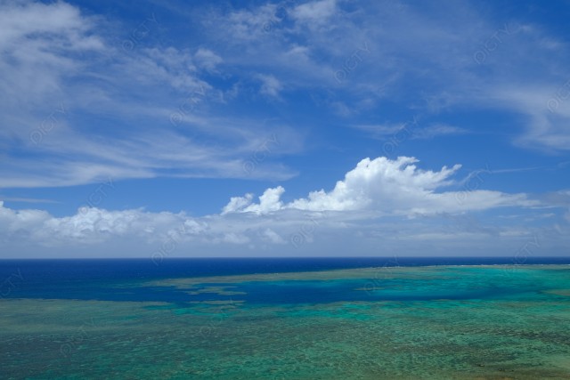 石垣島の平久保岬のサンゴの海