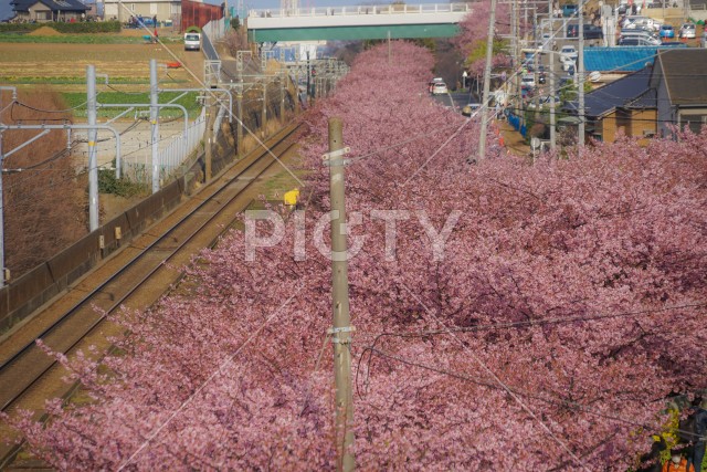 写真のタイトルが入ります