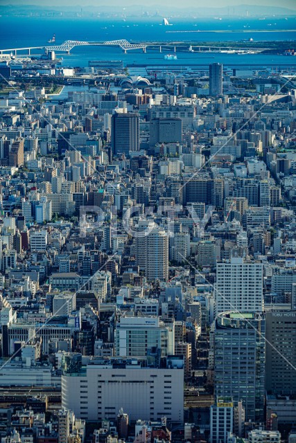 東京ゲートブリッジと東京の街並み