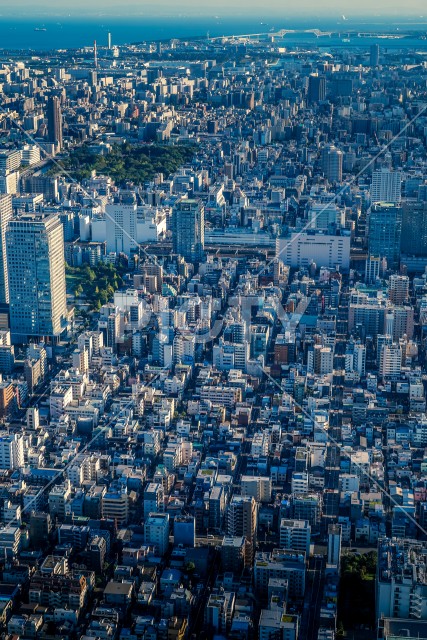 東京ゲートブリッジと東京の街並み