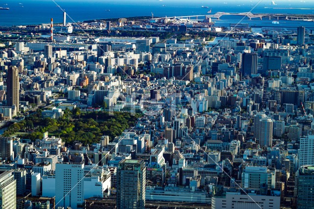 東京ゲートブリッジと東京の街並み