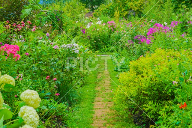 色とりどりの花に囲まれた道