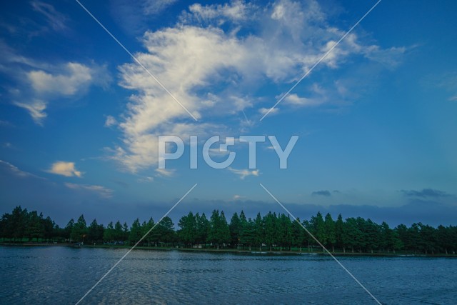 水元公園の森林と青空