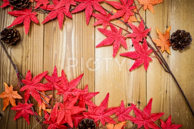 紅葉と松ぼっくり（松かさ）