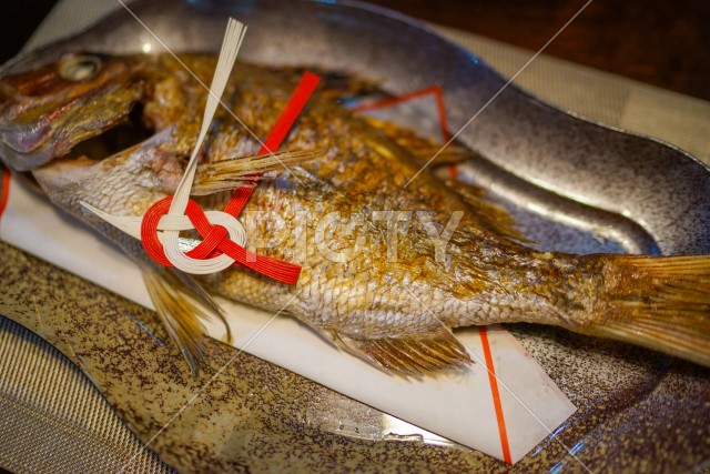 お食い初めの祝い鯛