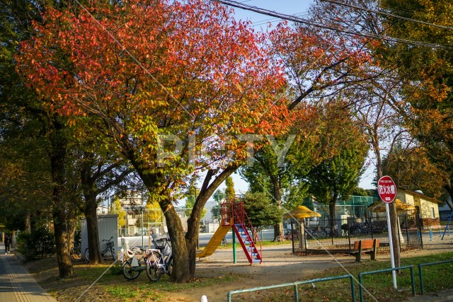 足立区の公園