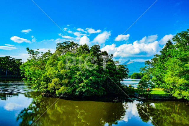 大沼国定公園の夏