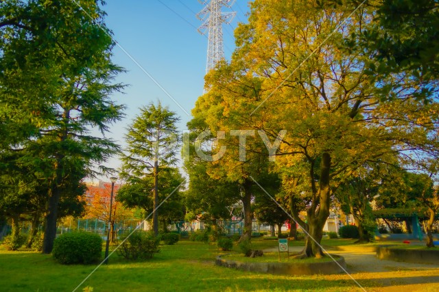 足立区の公園