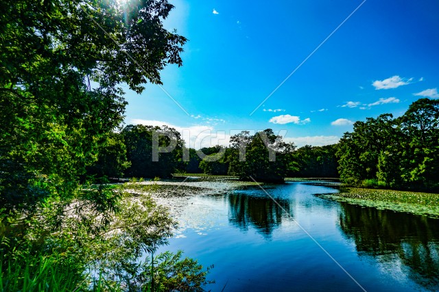 大沼国定公園の夏