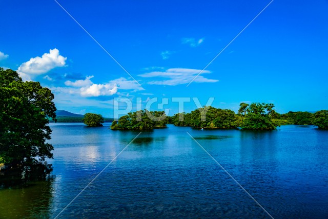 大沼国定公園の夏