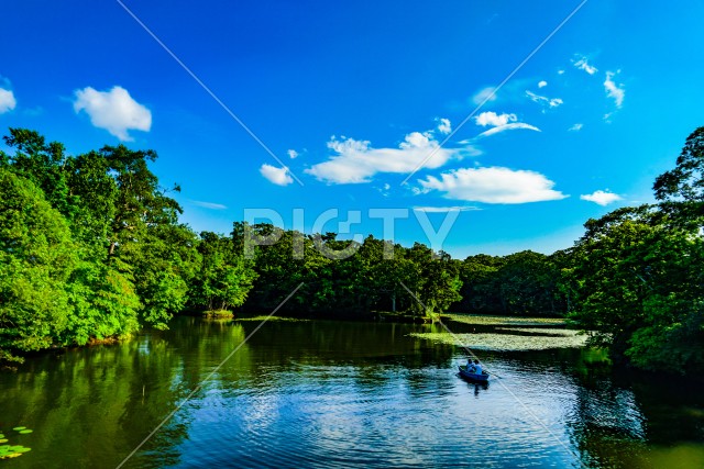 大沼国定公園の夏