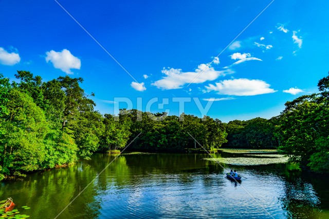 大沼国定公園の夏