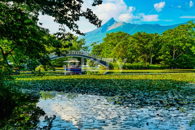 大沼国定公園の夏