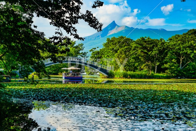 大沼国定公園の夏