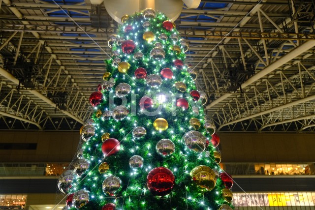 JR大阪駅のクリスマスツリーのイルミネーション