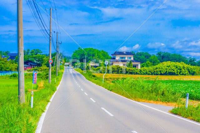 秋田県の田園風景