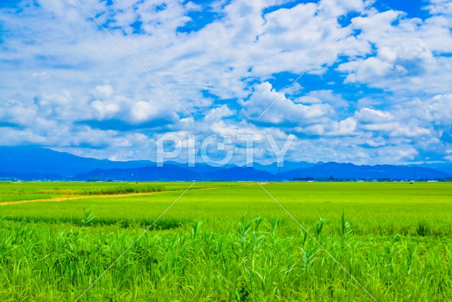 秋田県の田園風景