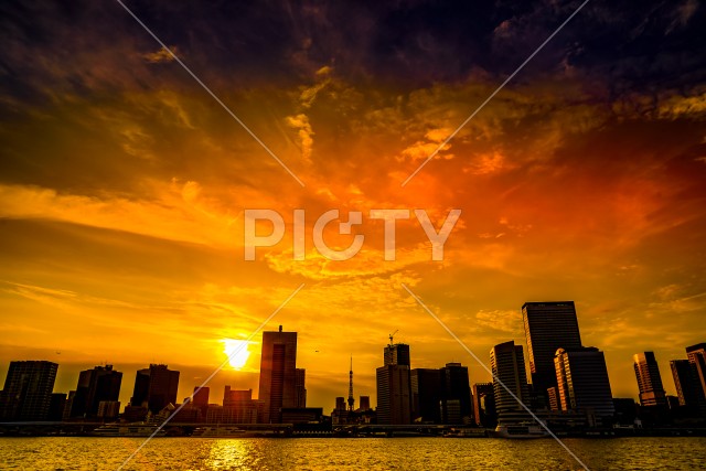 東京湾から見える東京の街並みと夕景