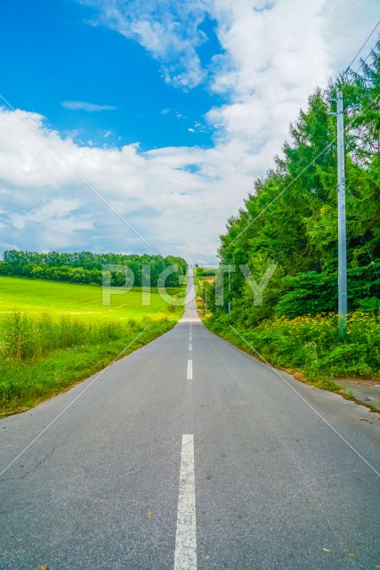 北海道の長い道と自然