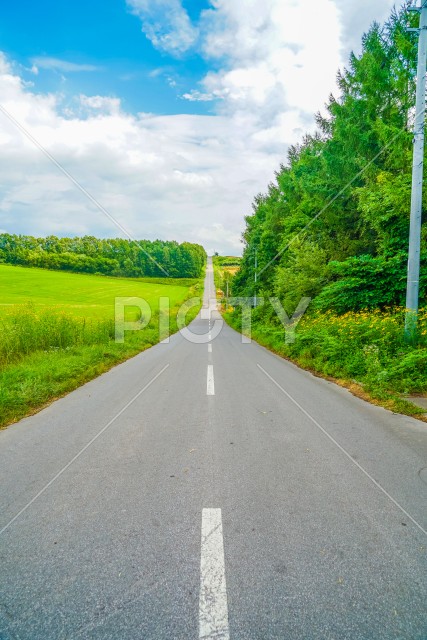 北海道の長い道と自然