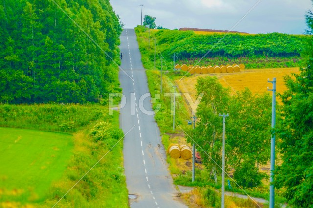 北海道の長い道と自然