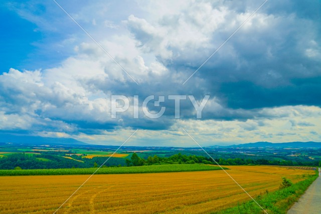 就実の丘からの夏の風景