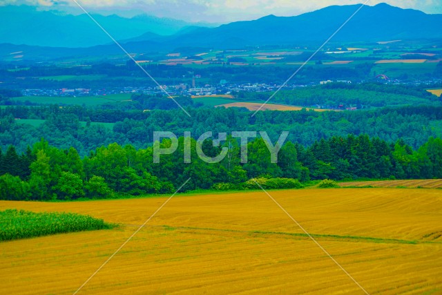 就実の丘からの夏の風景