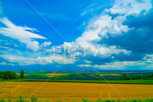 写真のタイトルが入ります