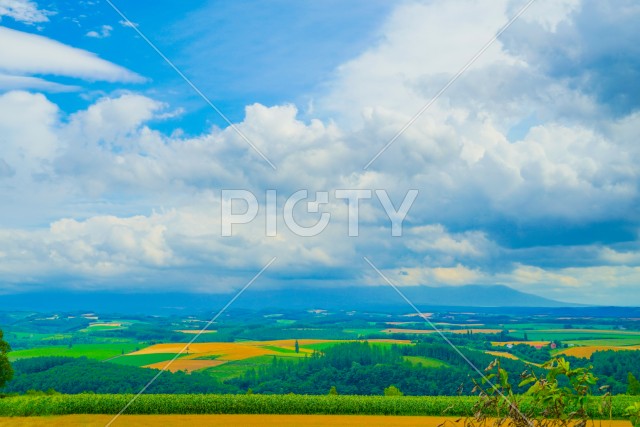 就実の丘からの夏の風景