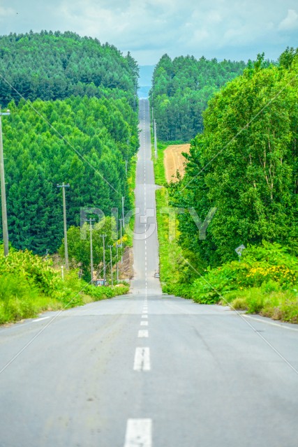 北海道の長い道と自然