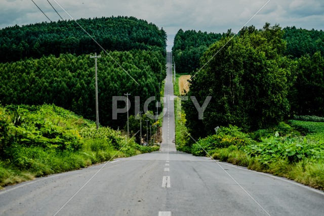 北海道の長い道と自然