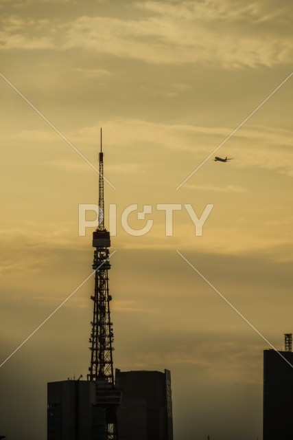 東京の町並みと夕景と飛行機