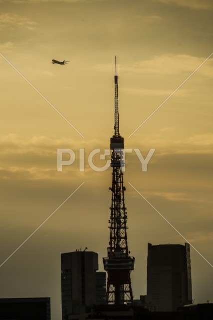 東京の町並みと夕景と飛行機