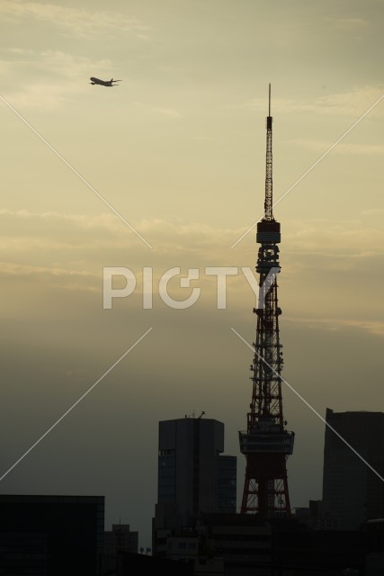 東京の町並みと夕景と飛行機