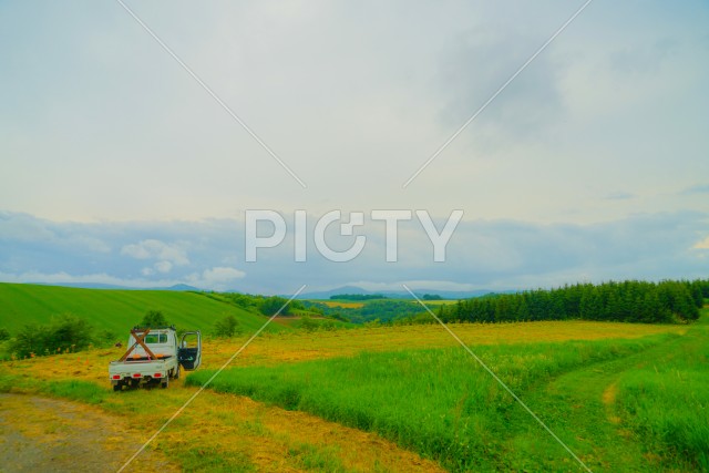 北海道富良野の平原