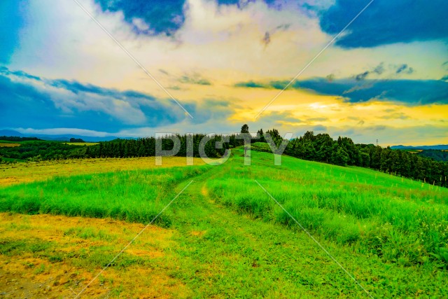 写真のタイトルが入ります