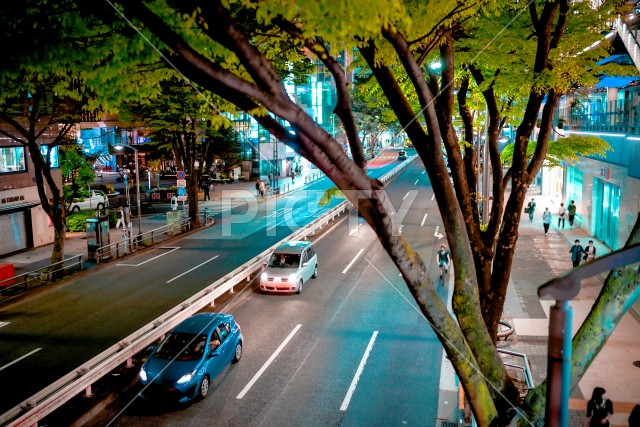 渋谷の夜景（東京都渋谷区）