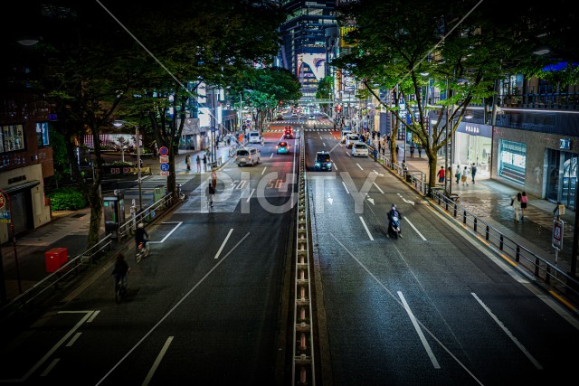 渋谷の夜景（東京都渋谷区）